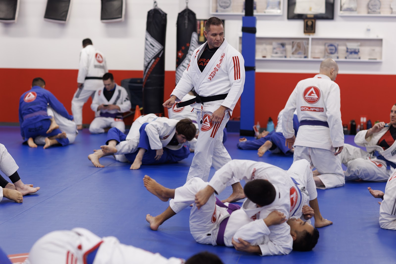 Gracie Barra Downers Grove photo