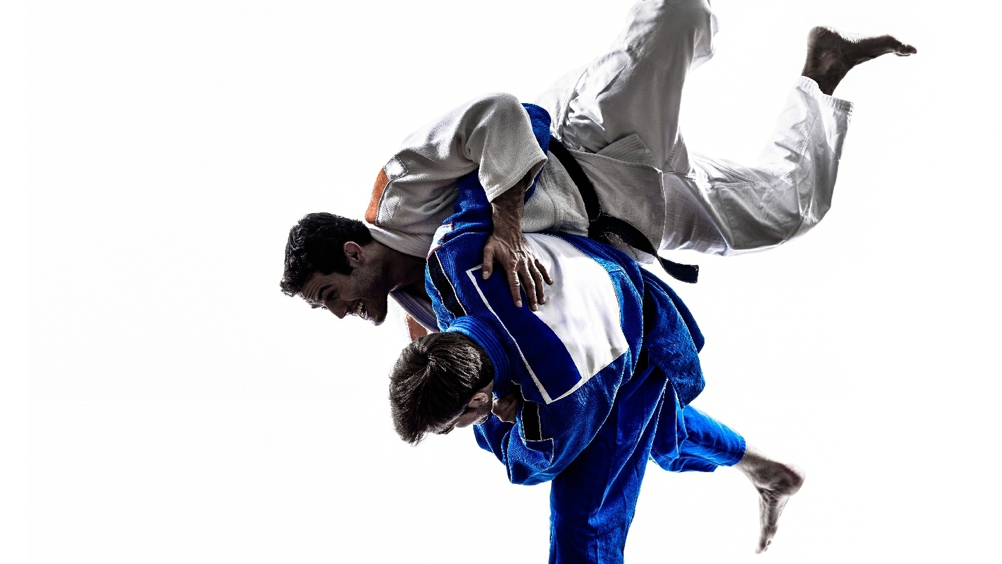 Main image of Honor Martial Arts - Houston Brazilian Jiu-Jitsu, Judo, Karate and Yoga.