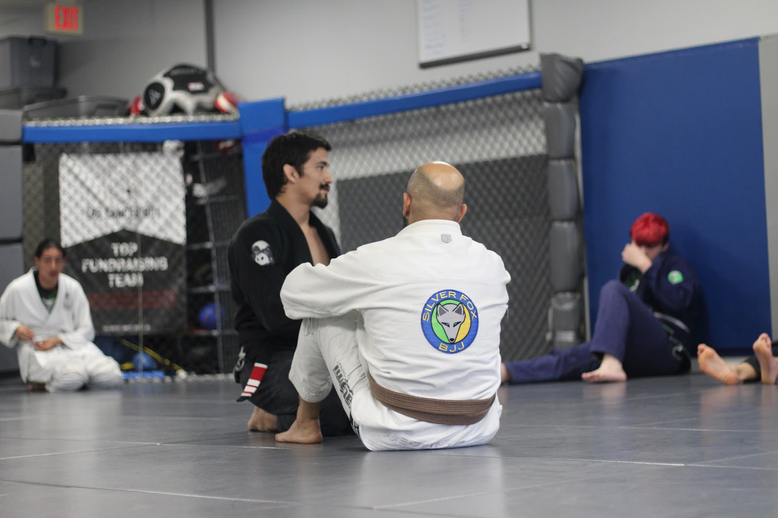 Image 3 of Silver Fox Brazilian Jiu-Jitsu - 561