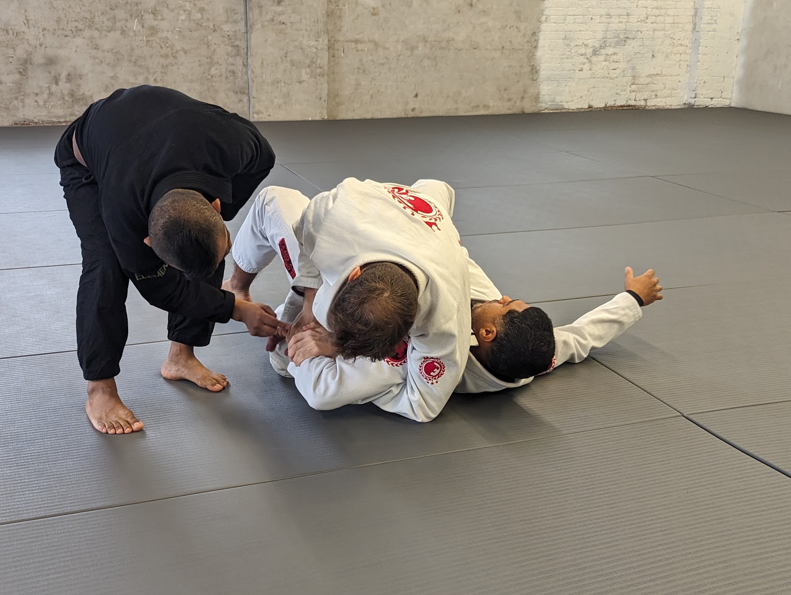 Mundo BJJ photo