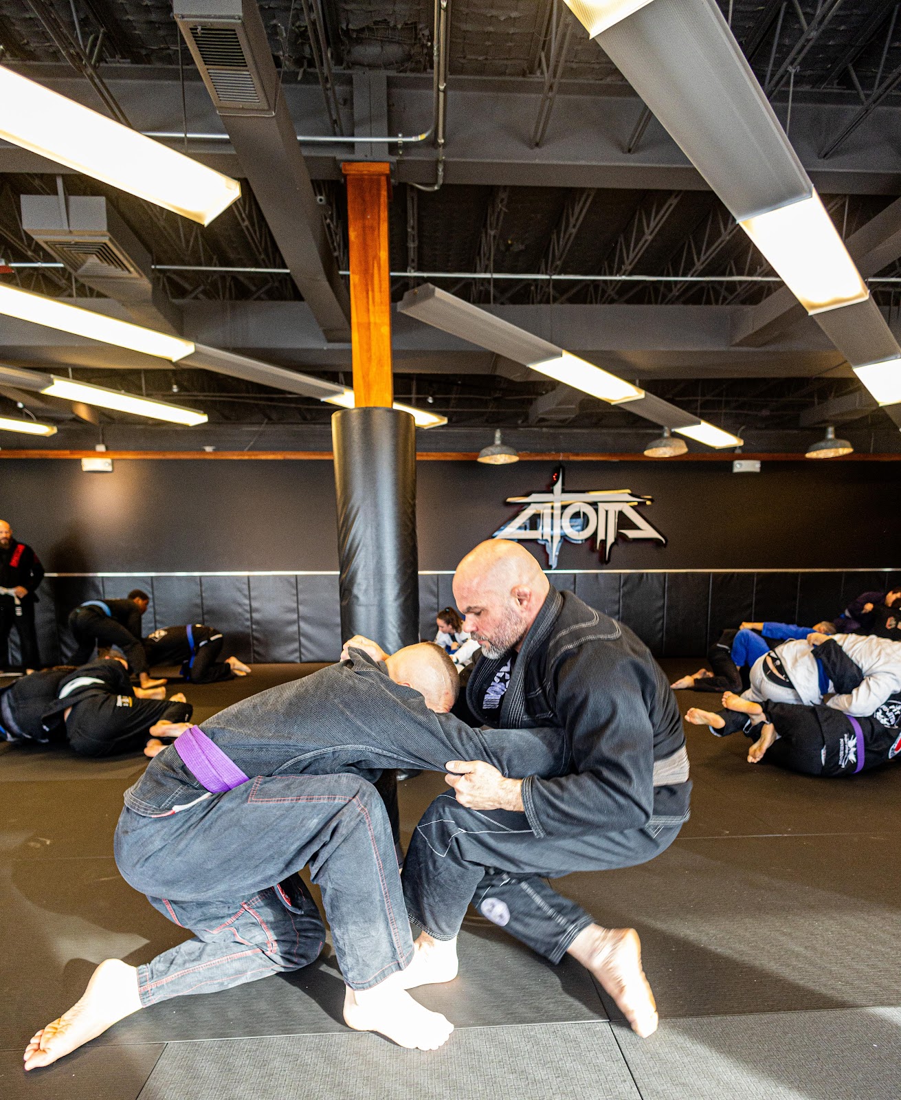 Image 2 of Atom, Jiu-Jitsu & Science