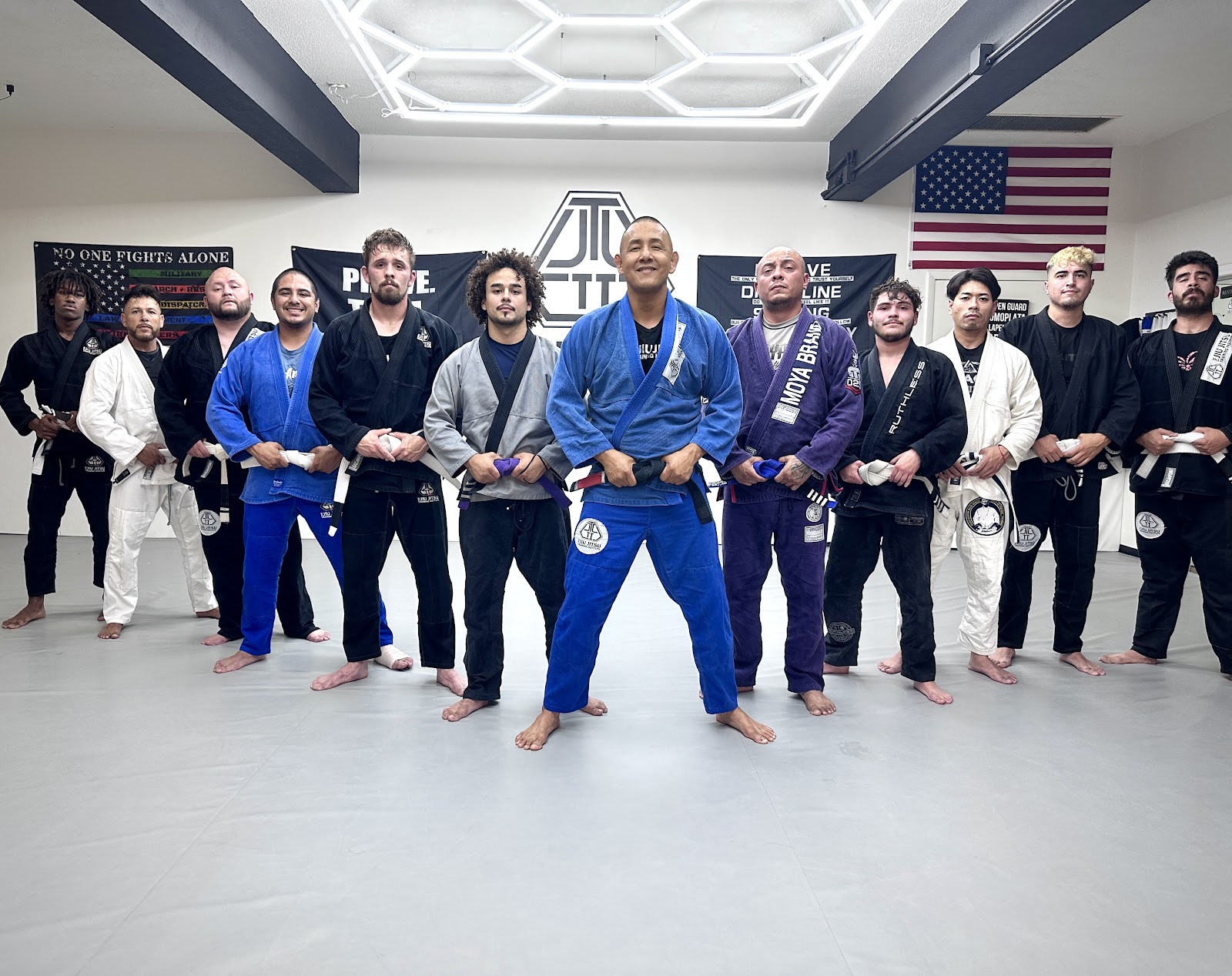 The Jiu Jitsu Training Institute photo