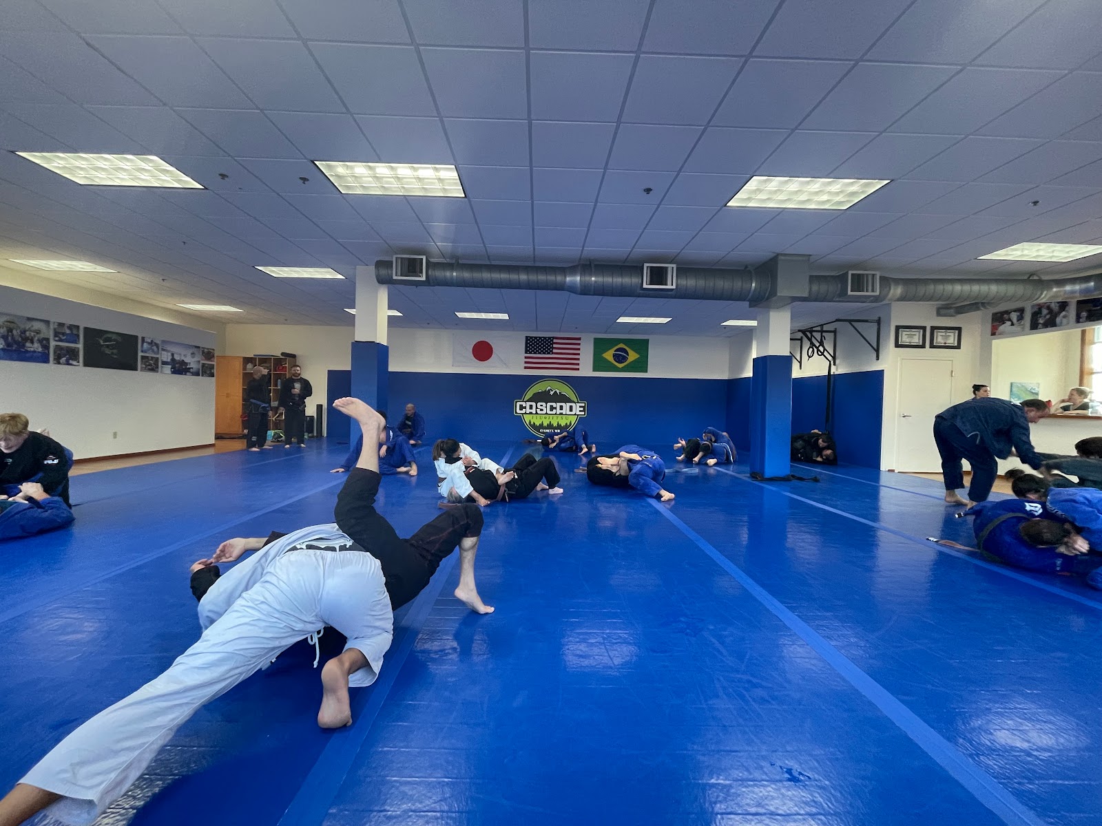 Main image of Cascade Jiu-Jitsu