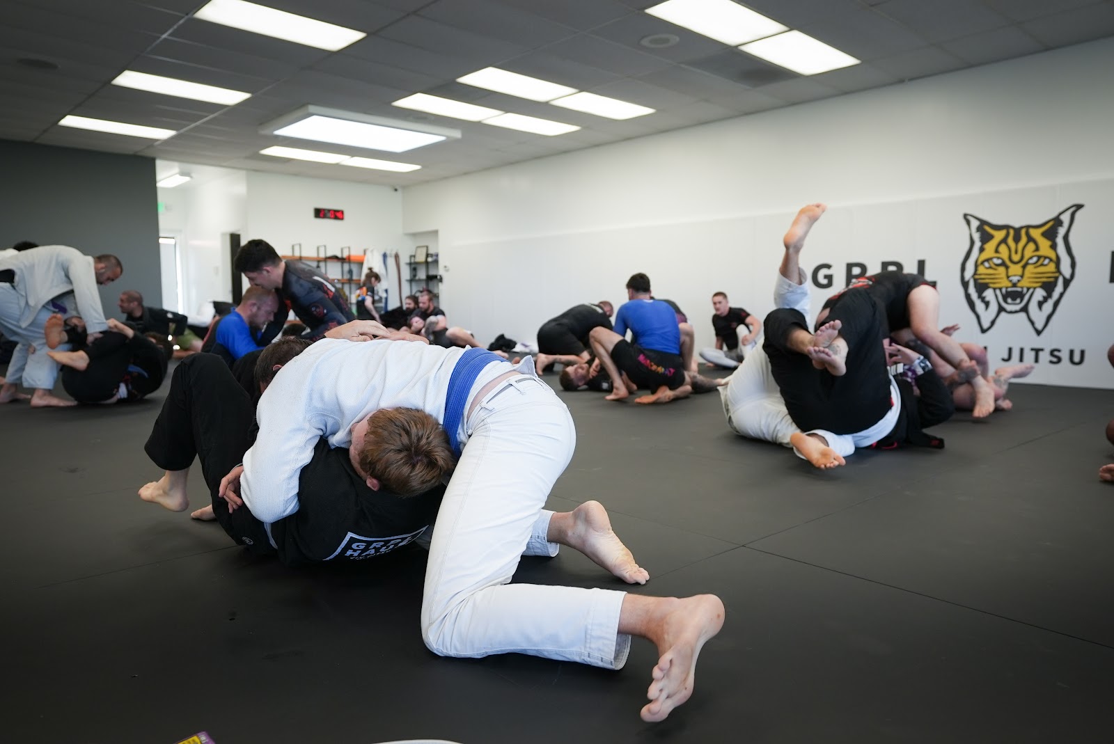 Image 2 of GRPL HAUS JIU JITSU - Lone Tree