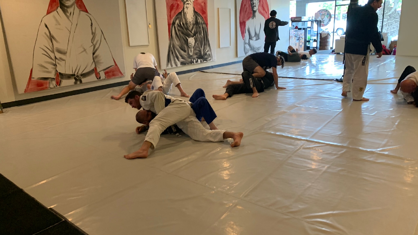 Brazilian Jiu Jitsu Club of Michigan photo