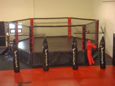 Image 7 of Mash Gym Brazilian Jiu Jitsu