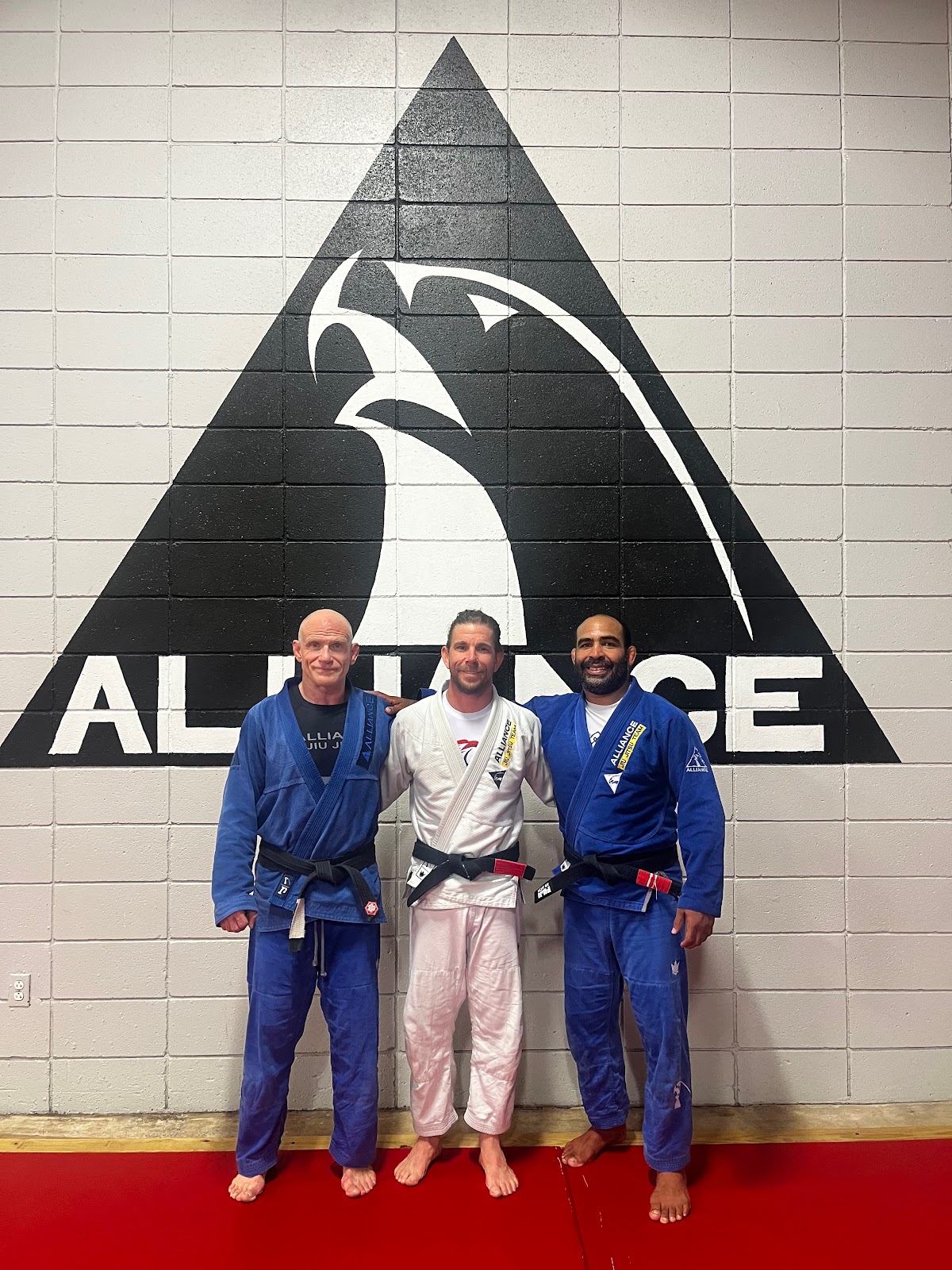 Main image of Alliance Jiu Jitsu Easley