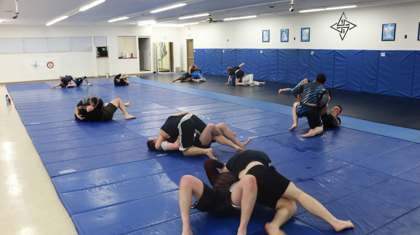 ShadowHouse Jiu-Jitsu photo