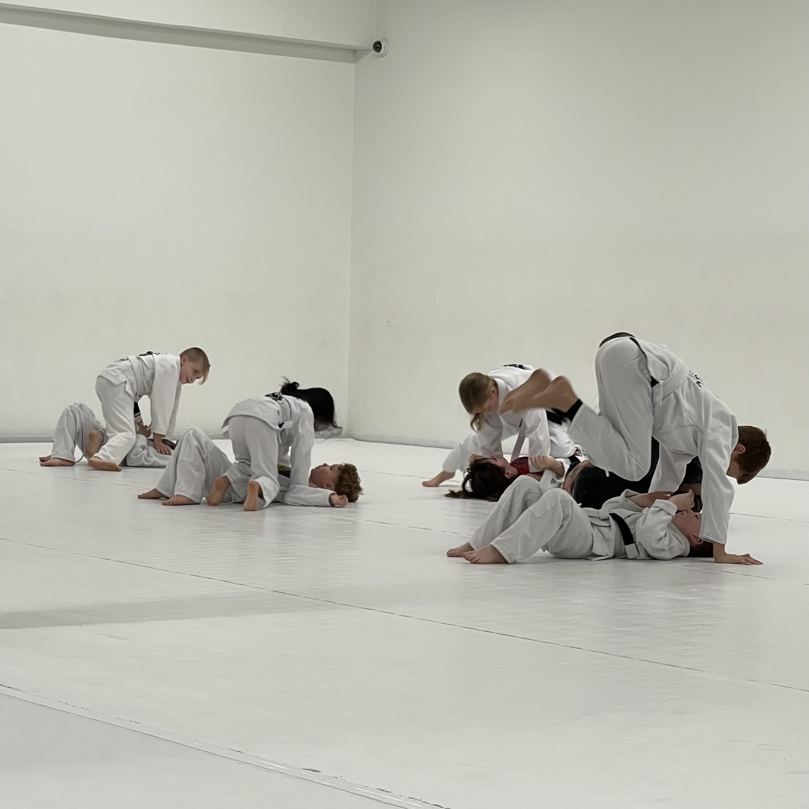 Image 10 of Kingdom Jiu-Jitsu