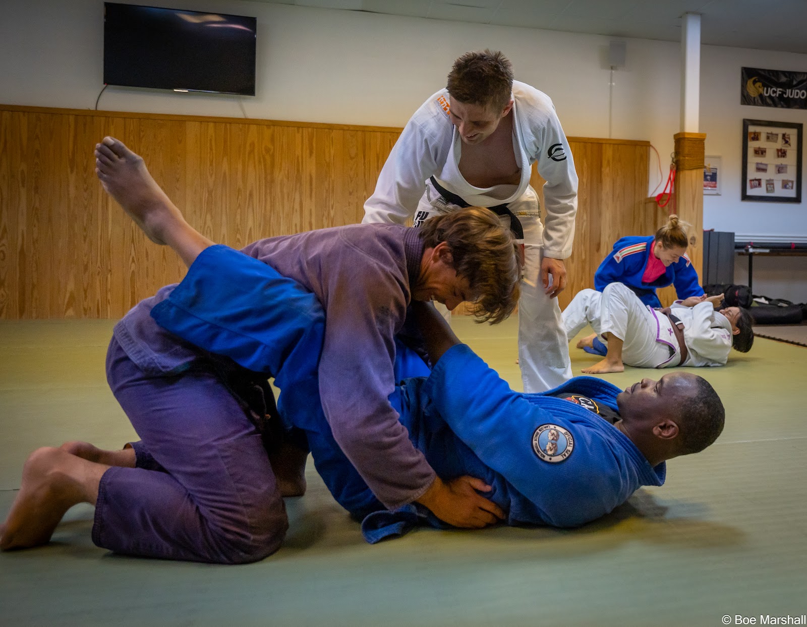 Image 8 of The Frameworks Academy of Jiu-Jitsu