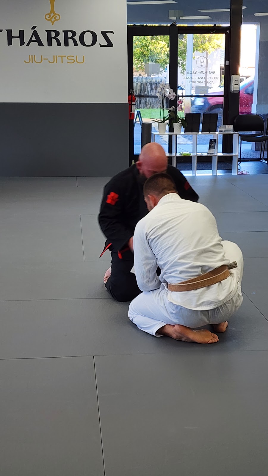 Image 7 of Tharros Jiu Jitsu