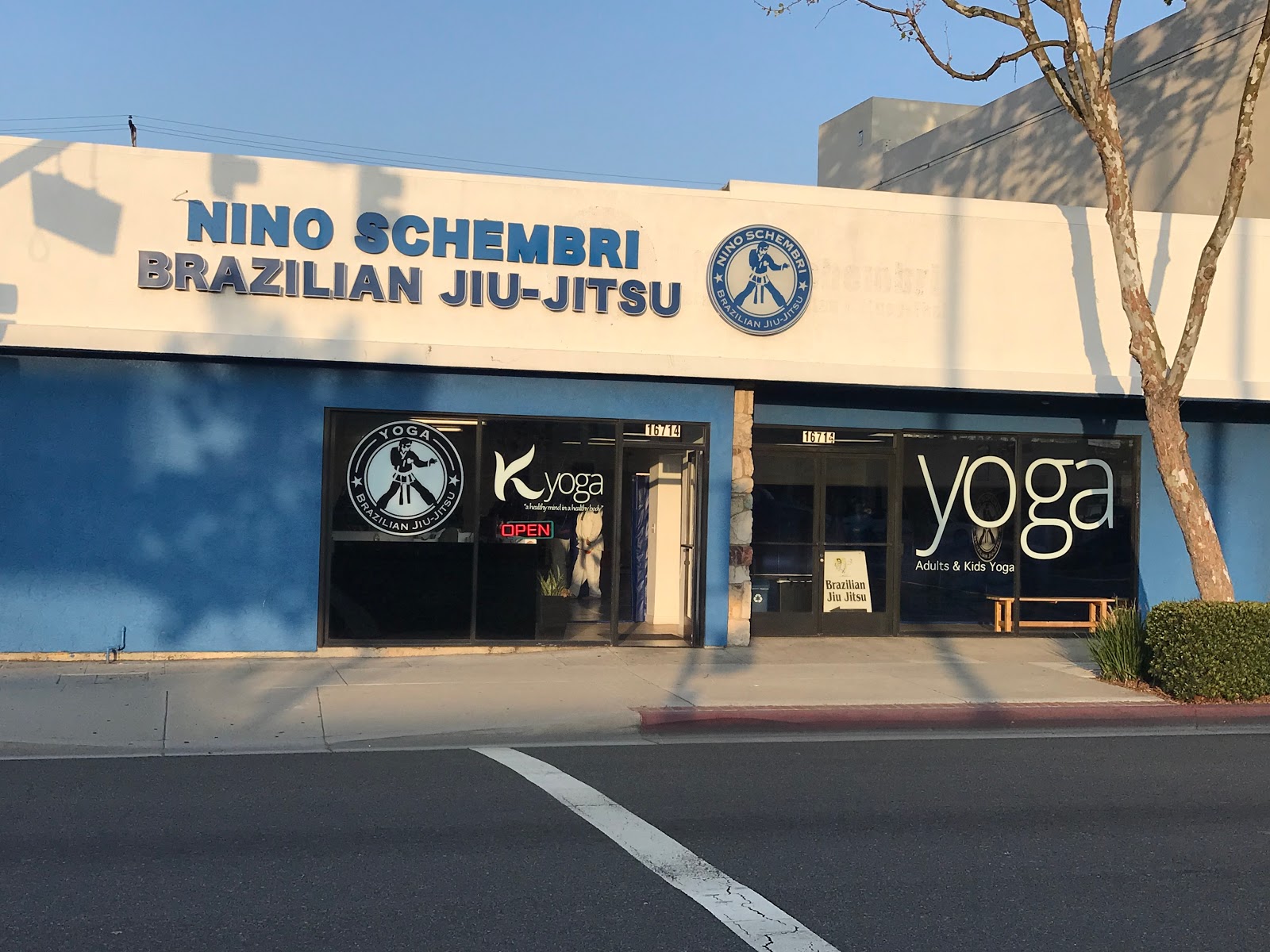 Nino Schembri Brazilian Jiu-Jitsu photo