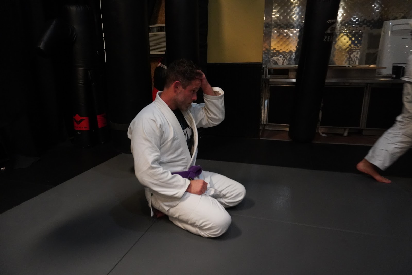 Image 10 of Viktos Jiu Jitsu