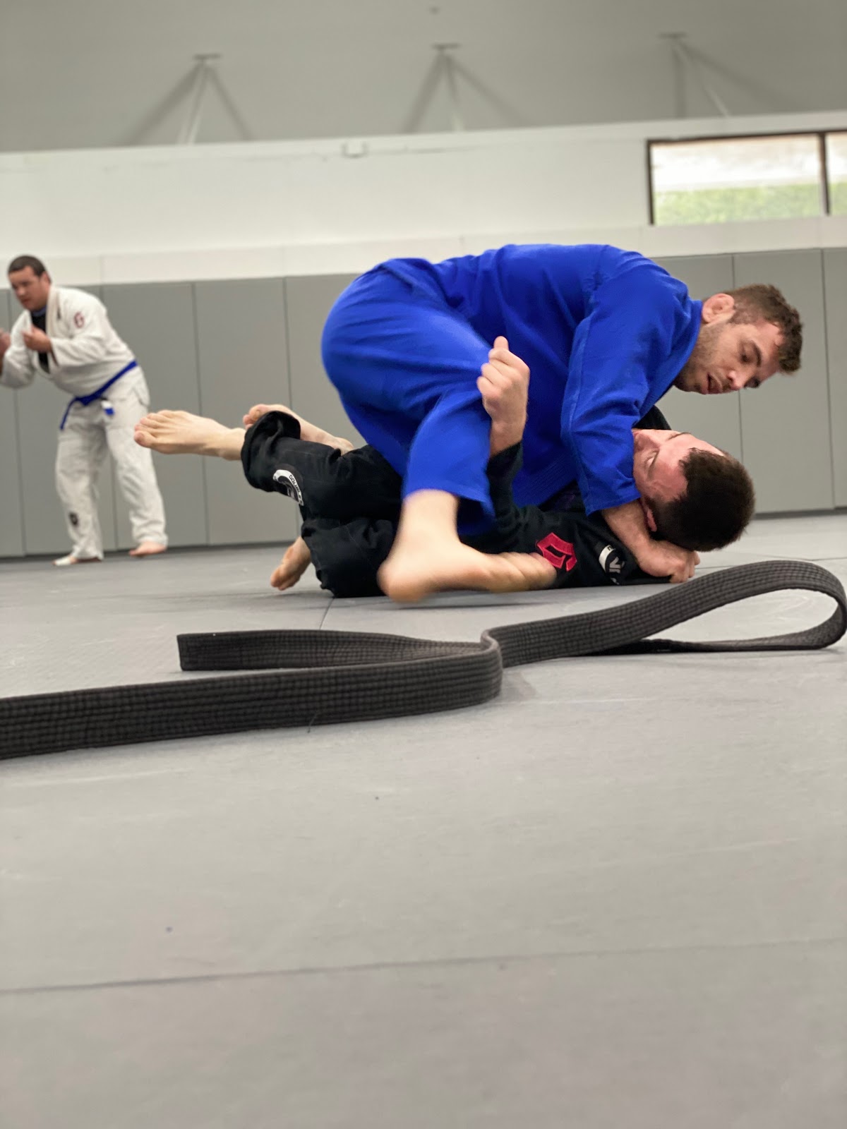 Image 7 of Alliance Jiu Jitsu Dallas