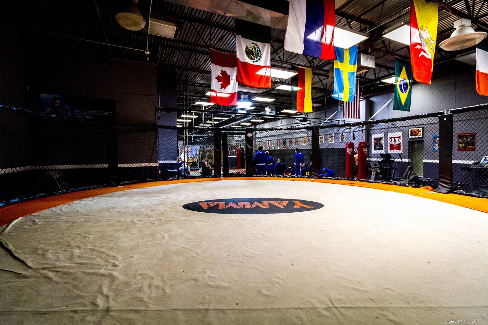 Image 4 of Mario Roberto Jiu-Jitsu Academy