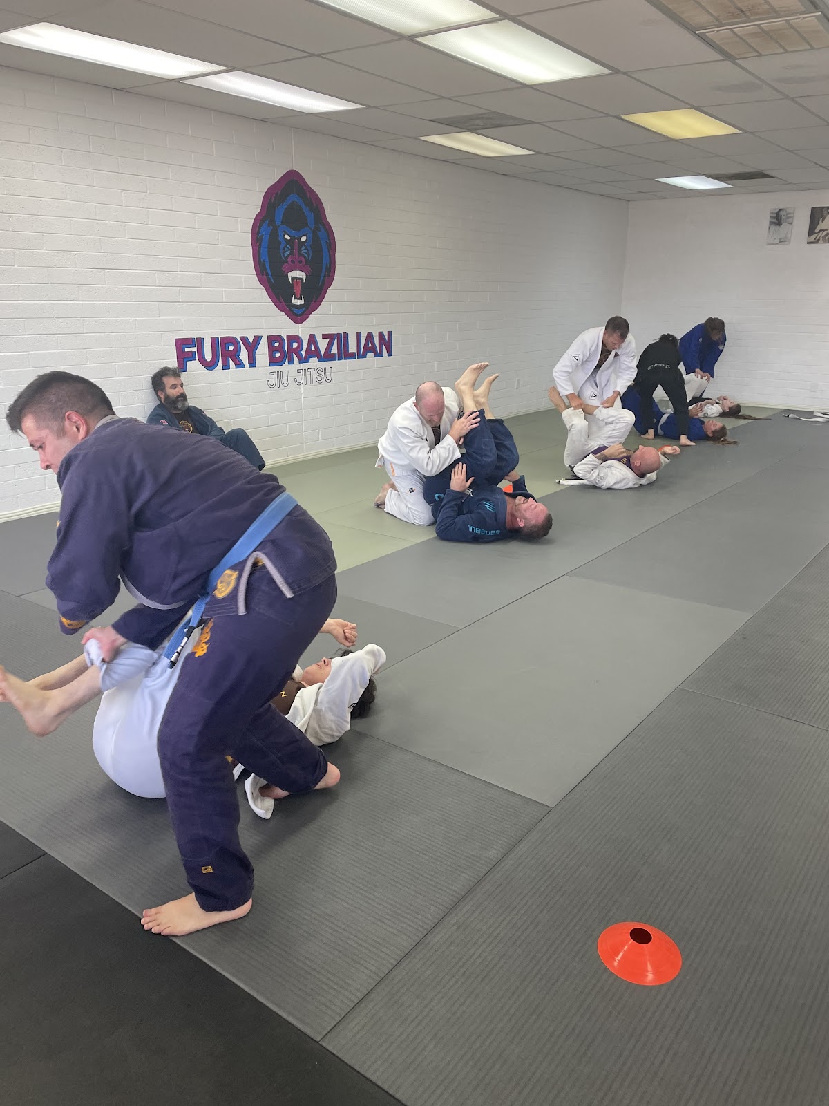 Image 6 of Fury Brazilian Jiu Jitsu