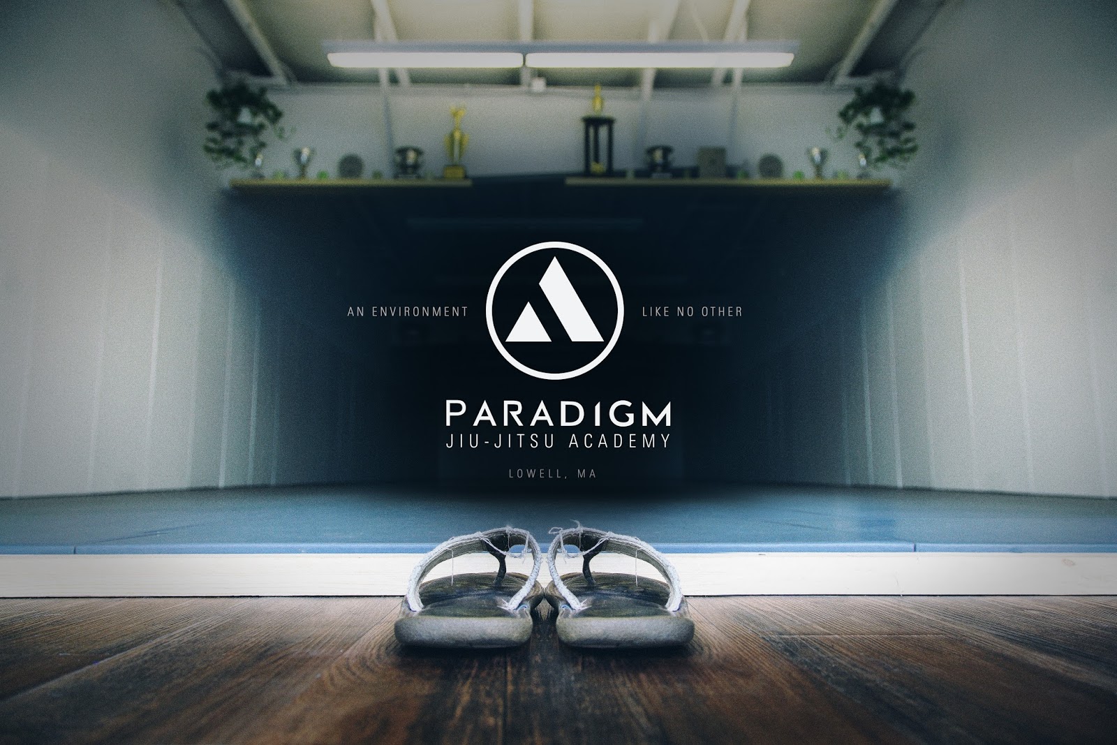 Image 7 of Paradigm Brazilian Jiu Jitsu