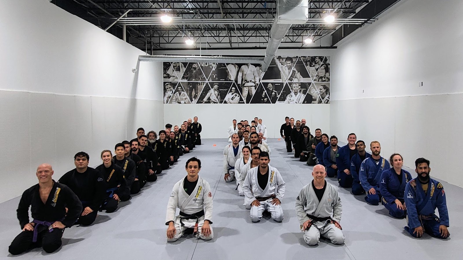 Main image of Alliance BJJ Houston - Houston