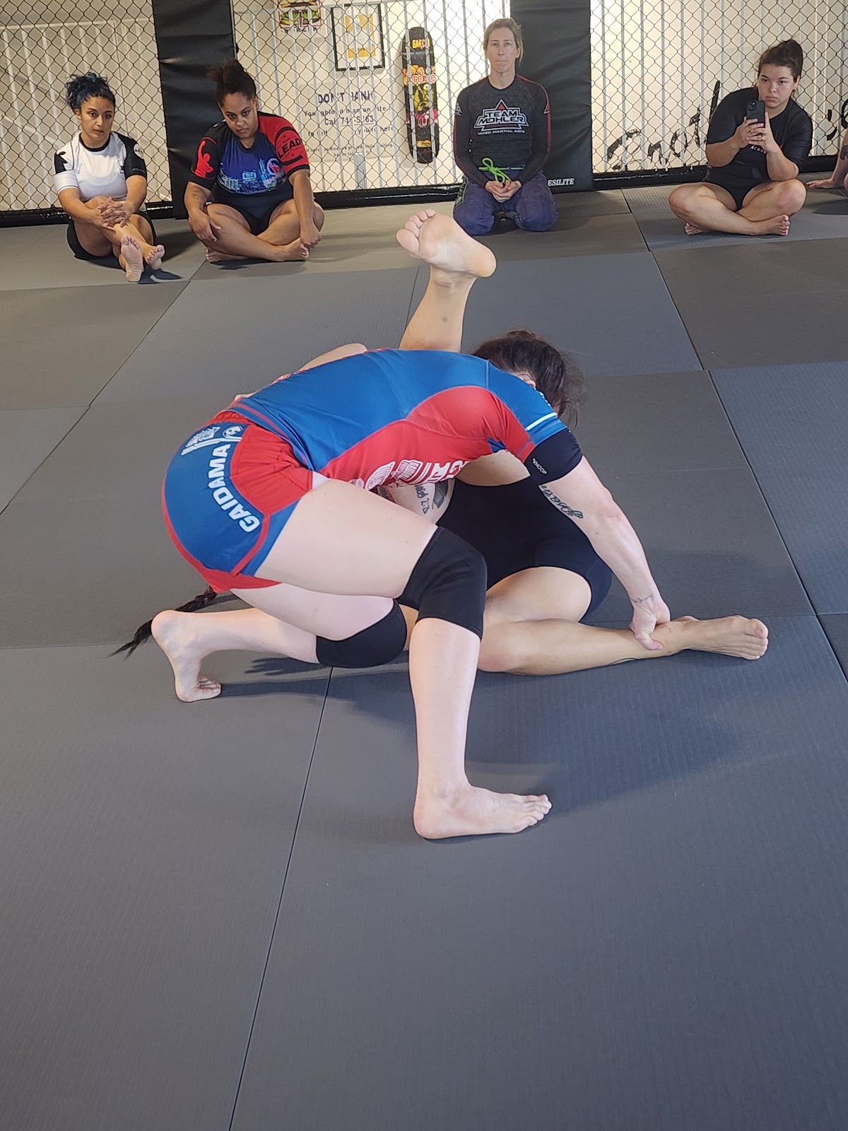 Image 5 of East Austin Jiujitsu Parlor