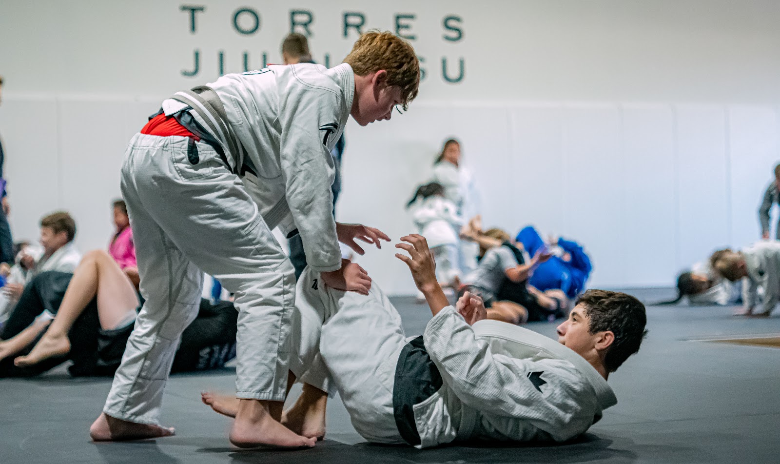 Image 3 of Torres Jiu-Jitsu