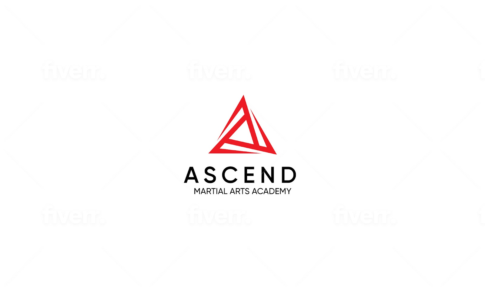 Image 8 of Ascend Martial Arts Academy