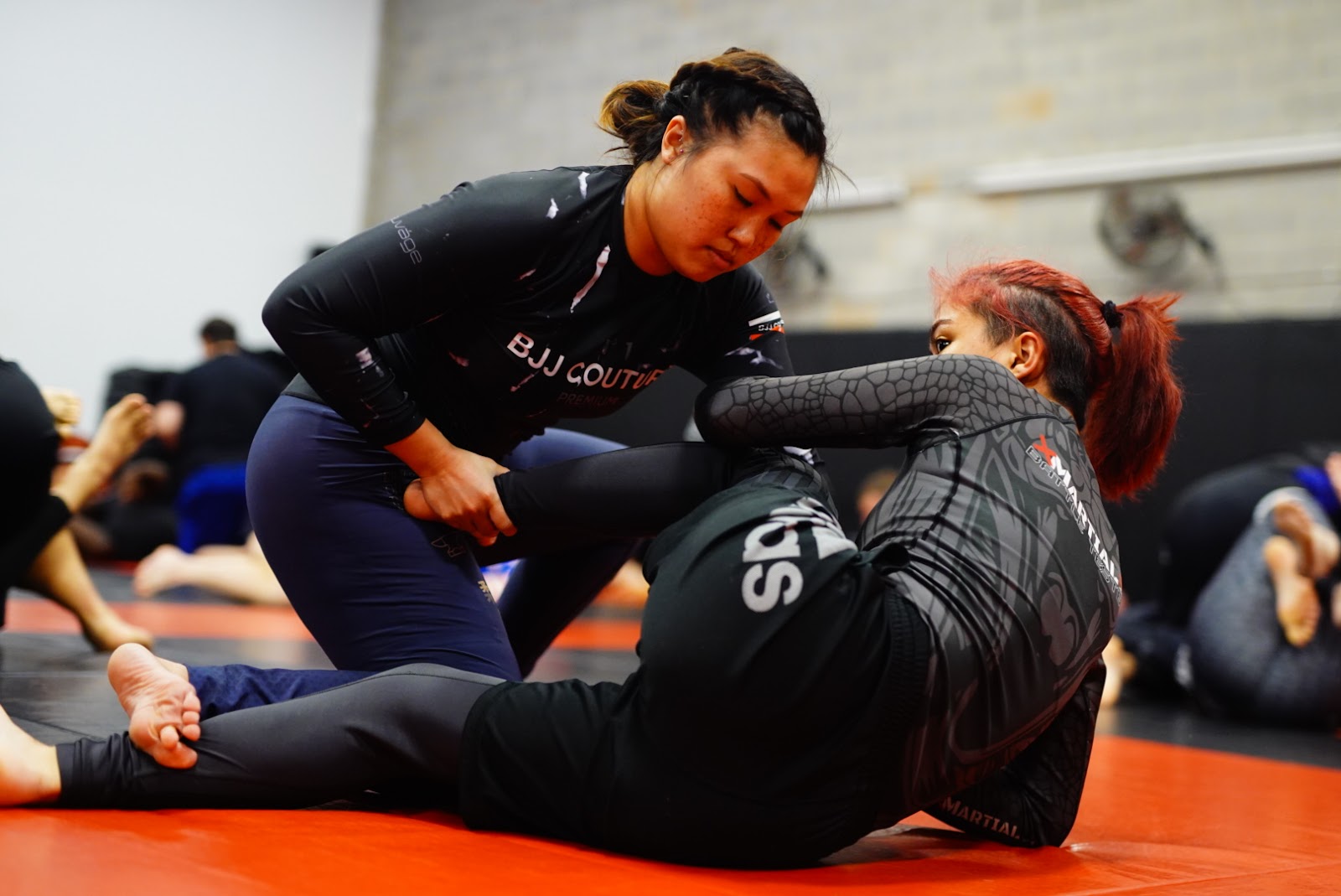 Image 9 of Ascend Jiu Jitsu Chantilly