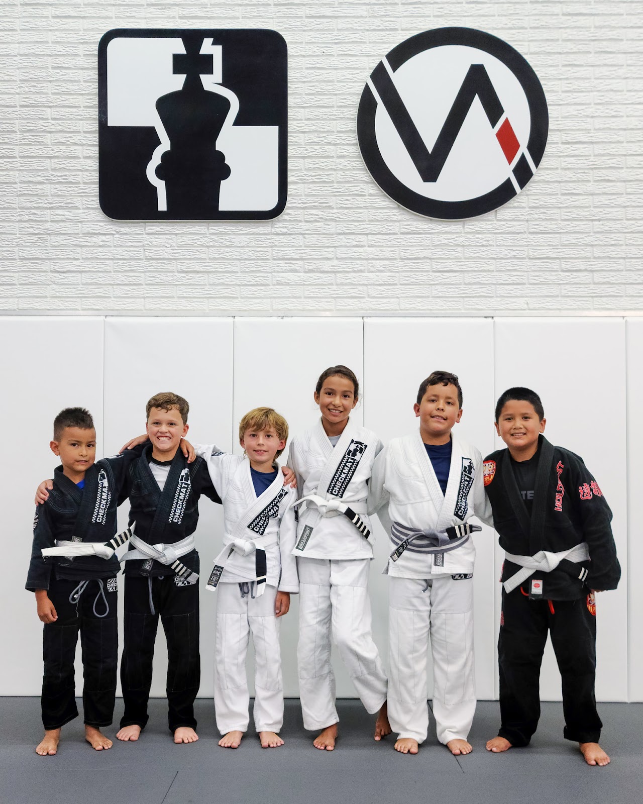 Image 2 of VA Academy Jiu Jitsu | Fitness