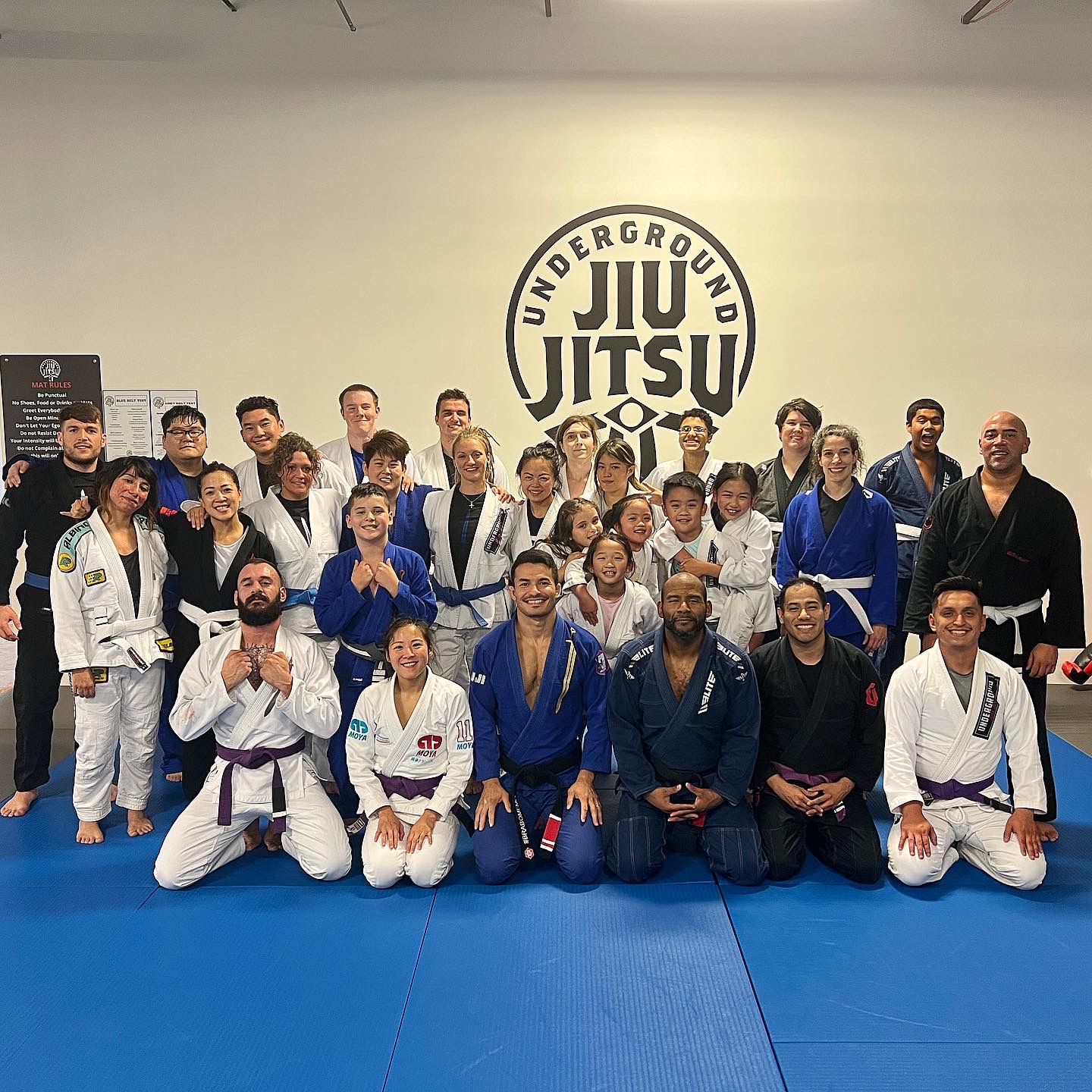 Image 8 of Underground Jiu-Jitsu Plano