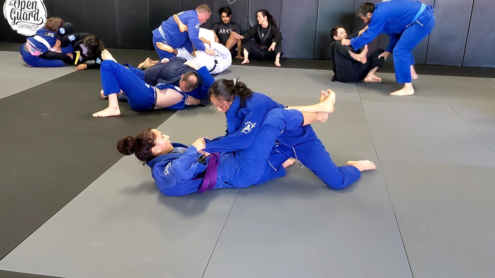 Image 2 of Ares Brazilian Jiu Jitsu Sacramento