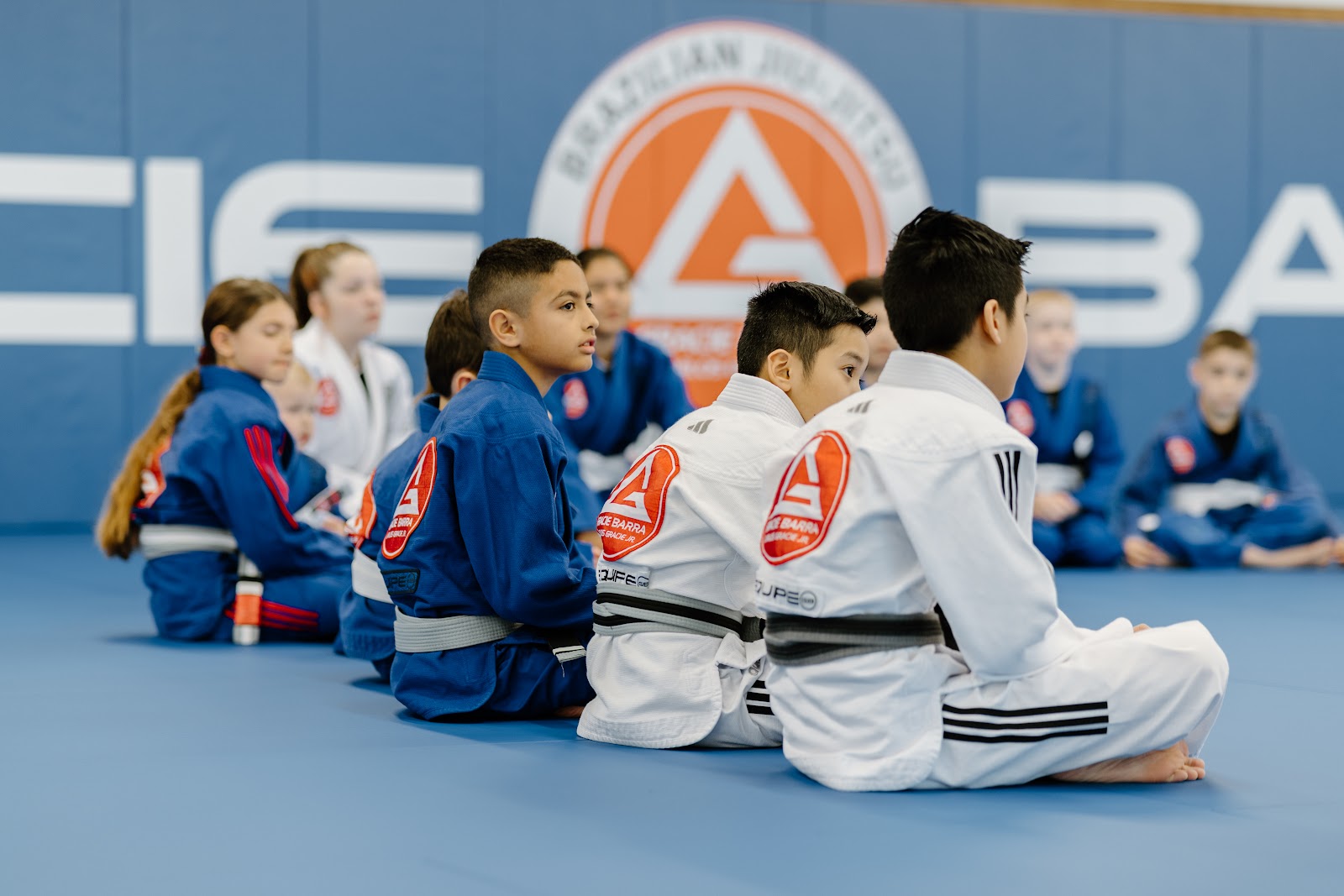 Image 2 of Gracie Barra Frisco