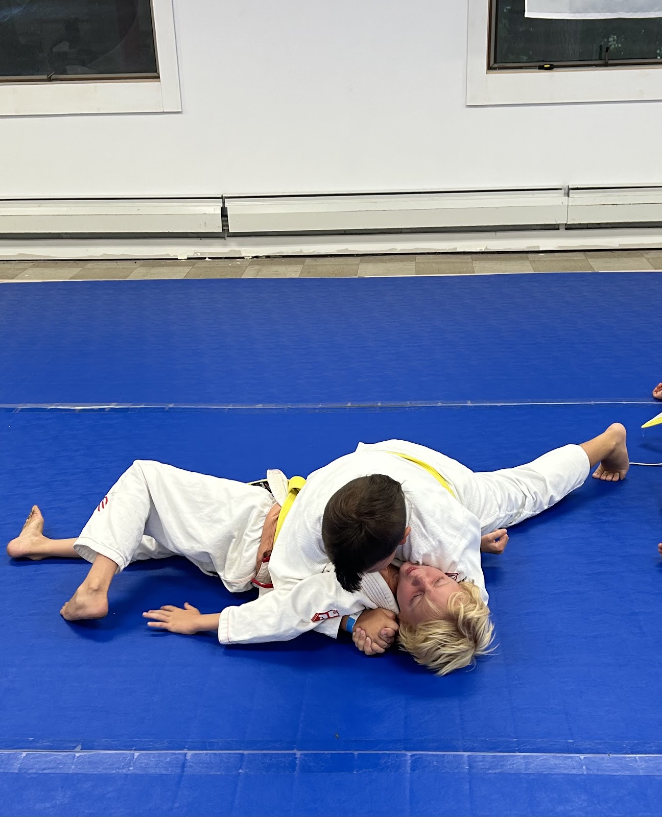 Image 3 of Memento Mori BJJ & Judo