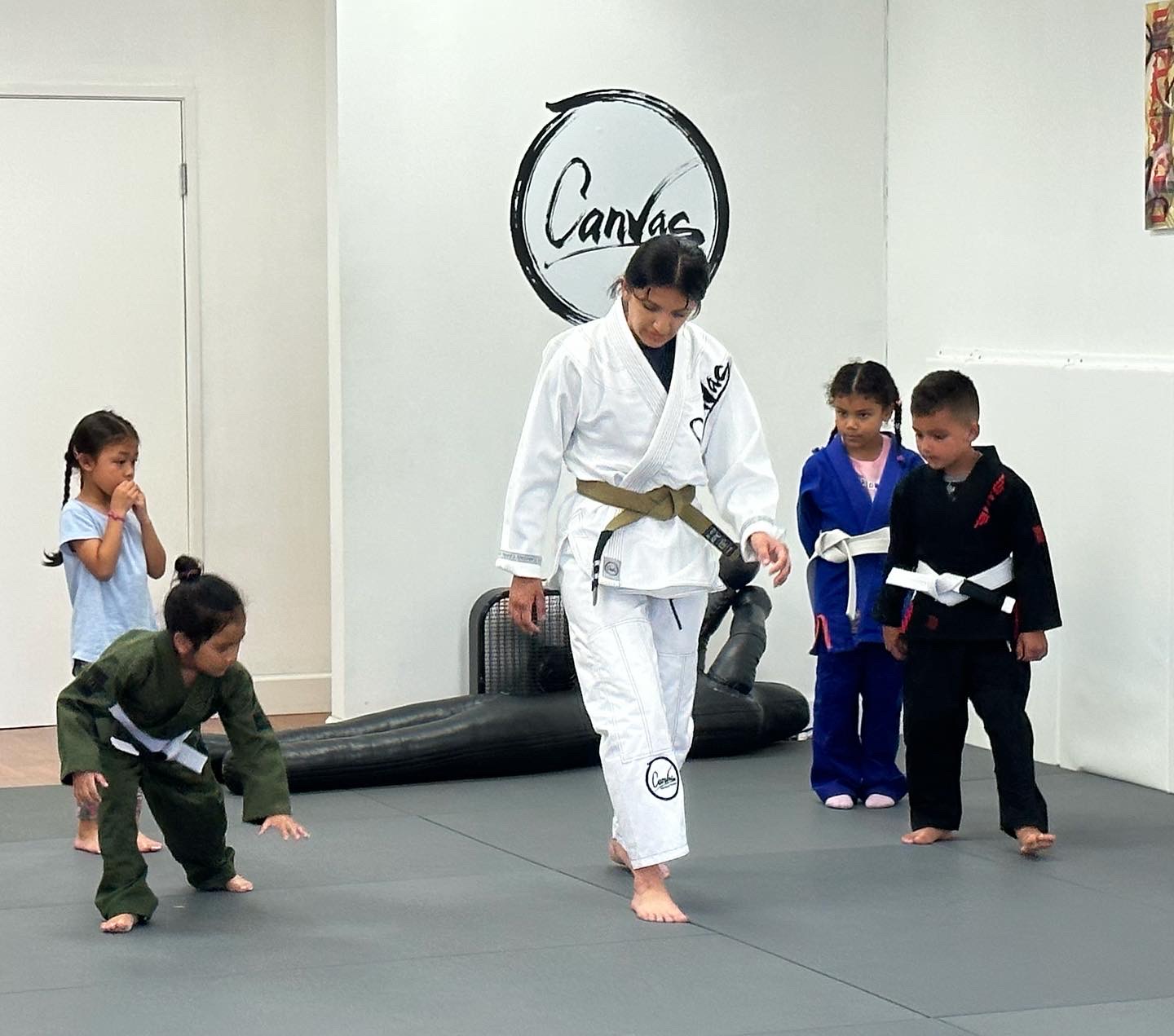 Canvas Brazilian Jiu Jitsu photo