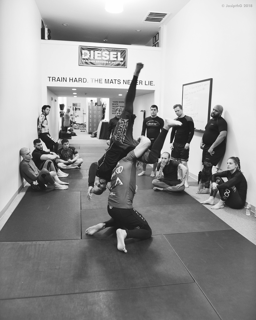 Image 3 of Velez Jiujitsu