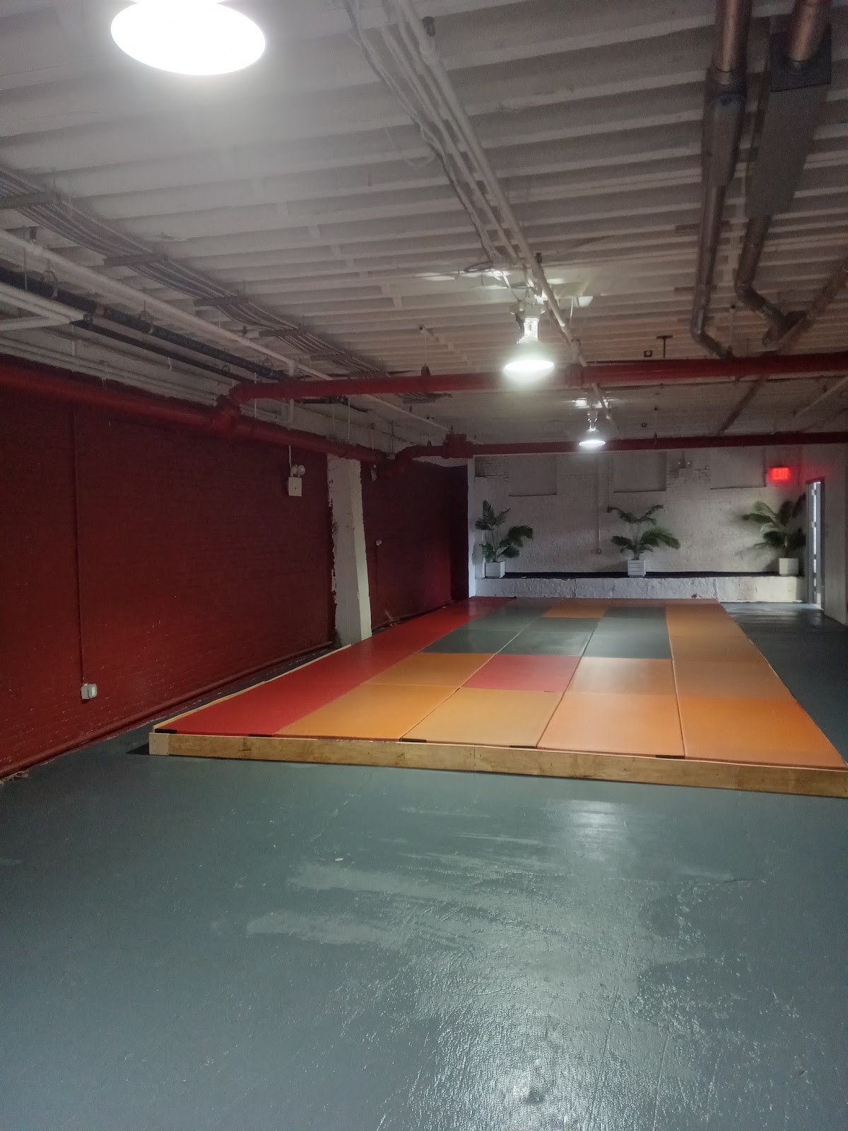 Image 9 of The Jiu Jitsu Lounge