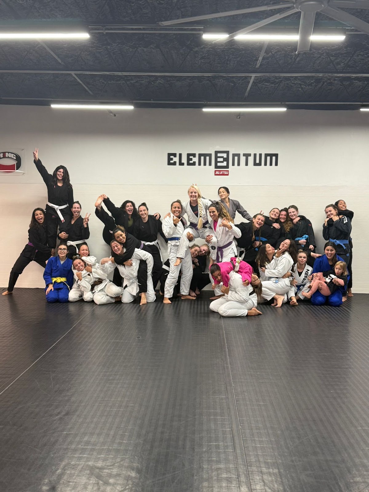 Image 2 of Elementum Jiu Jitsu Oviedo