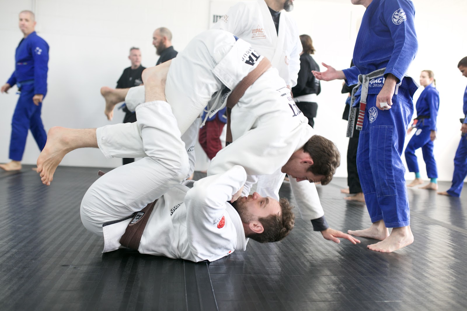 Impact Jiu Jitsu Albuquerque photo