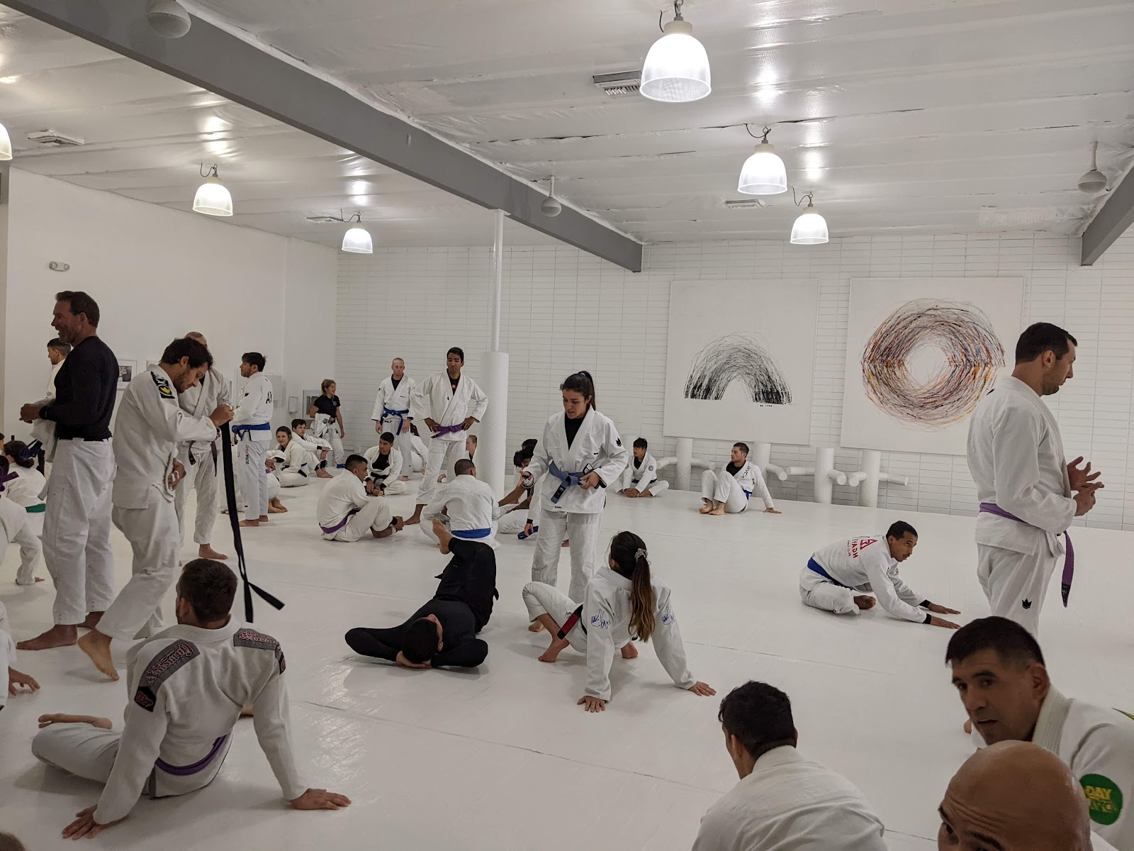 Main image of Art of Jiu Jitsu Costa Mesa