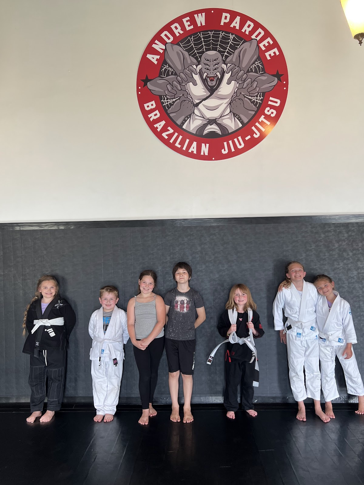 Pardee Brazilian Jiu-Jitsu Follansbee photo