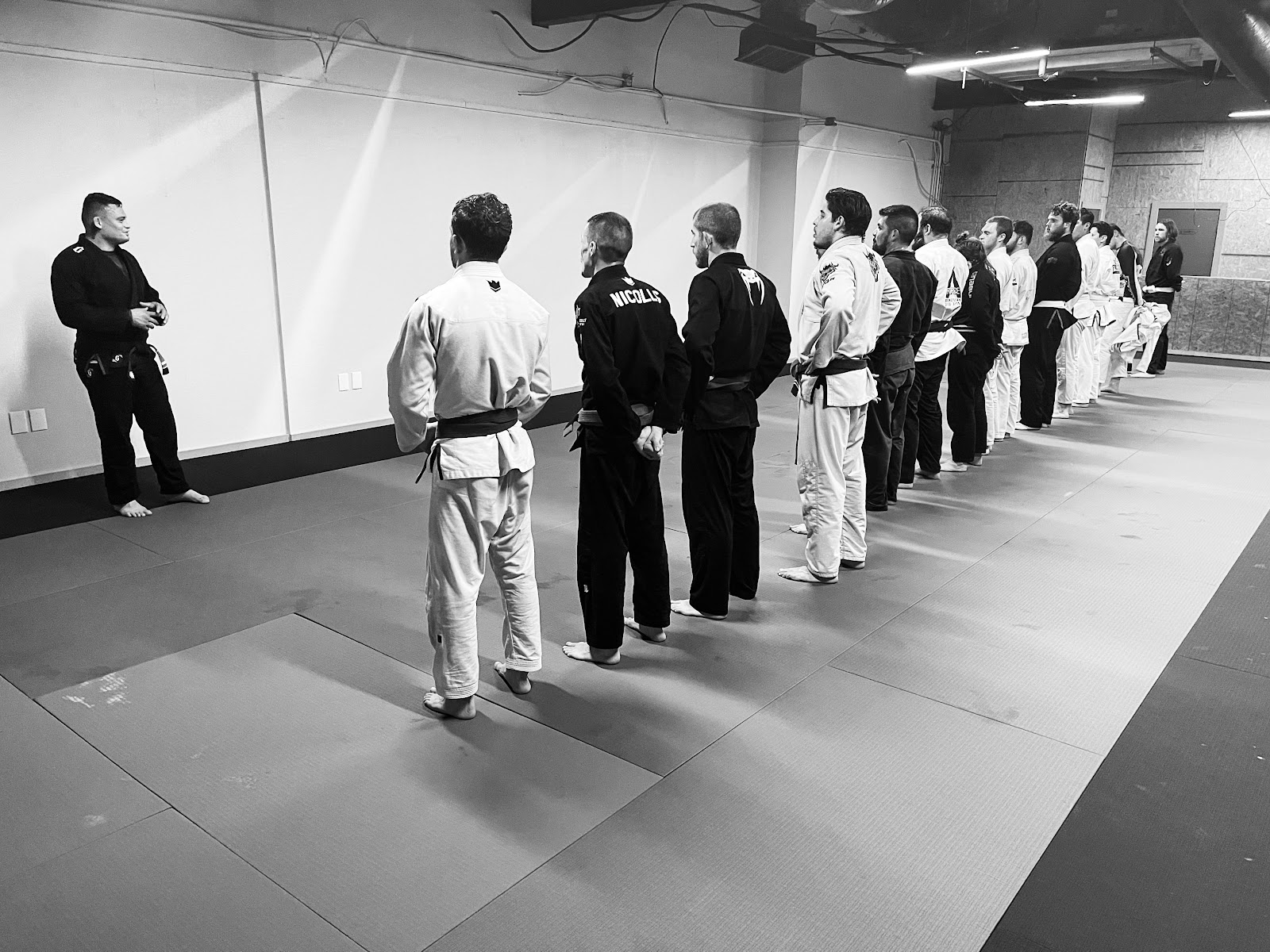 Image 9 of Dino Jiu Jitsu