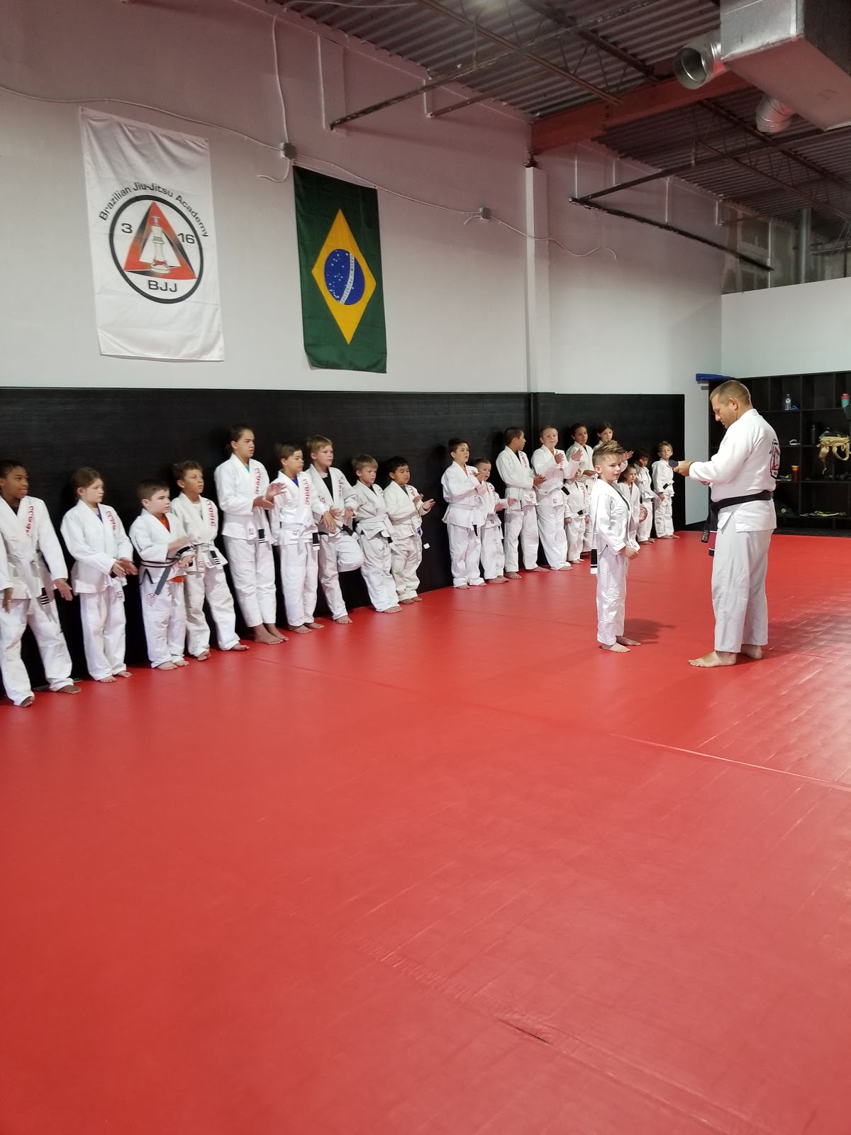 Image 3 of 316 Brazilian Jiu-Jitsu / MMA