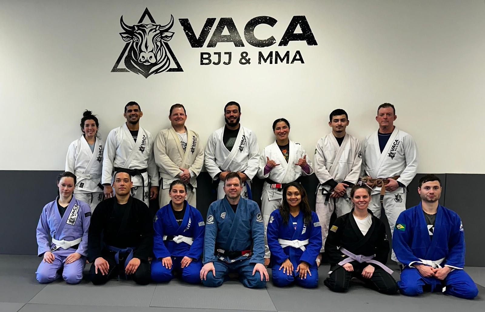 Vaca BJJ & MMA photo