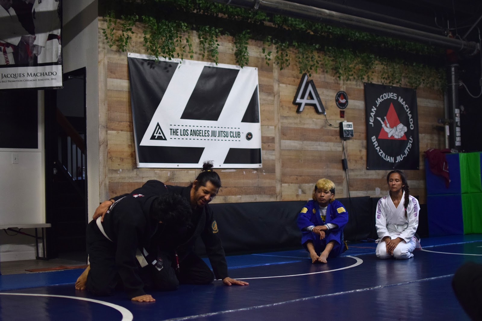 Main image of Los Angeles Jiu Jitsu Club