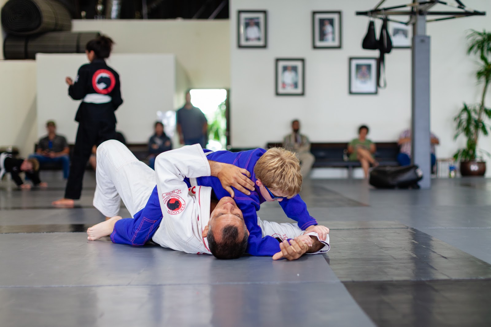 Paragon Brazilian Jiu Jitsu Ventura photo