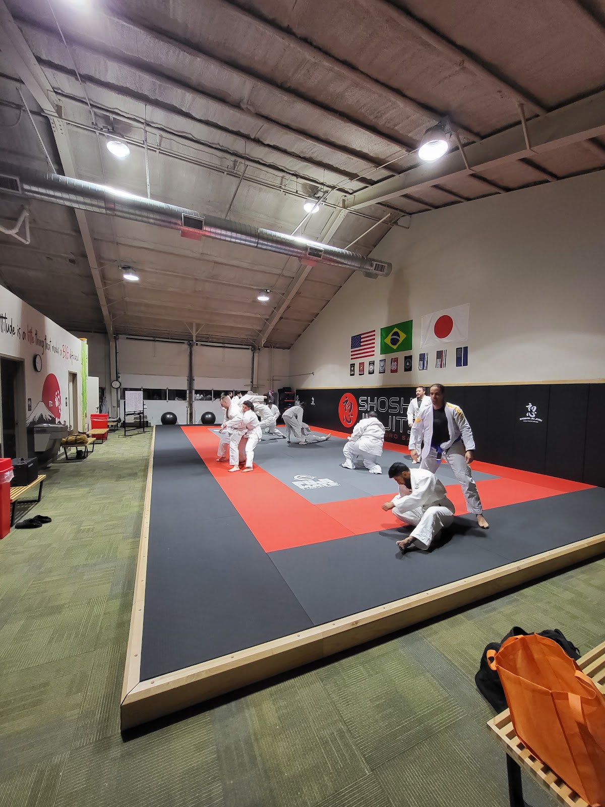 Main image of Shoshin Jiu Jitsu