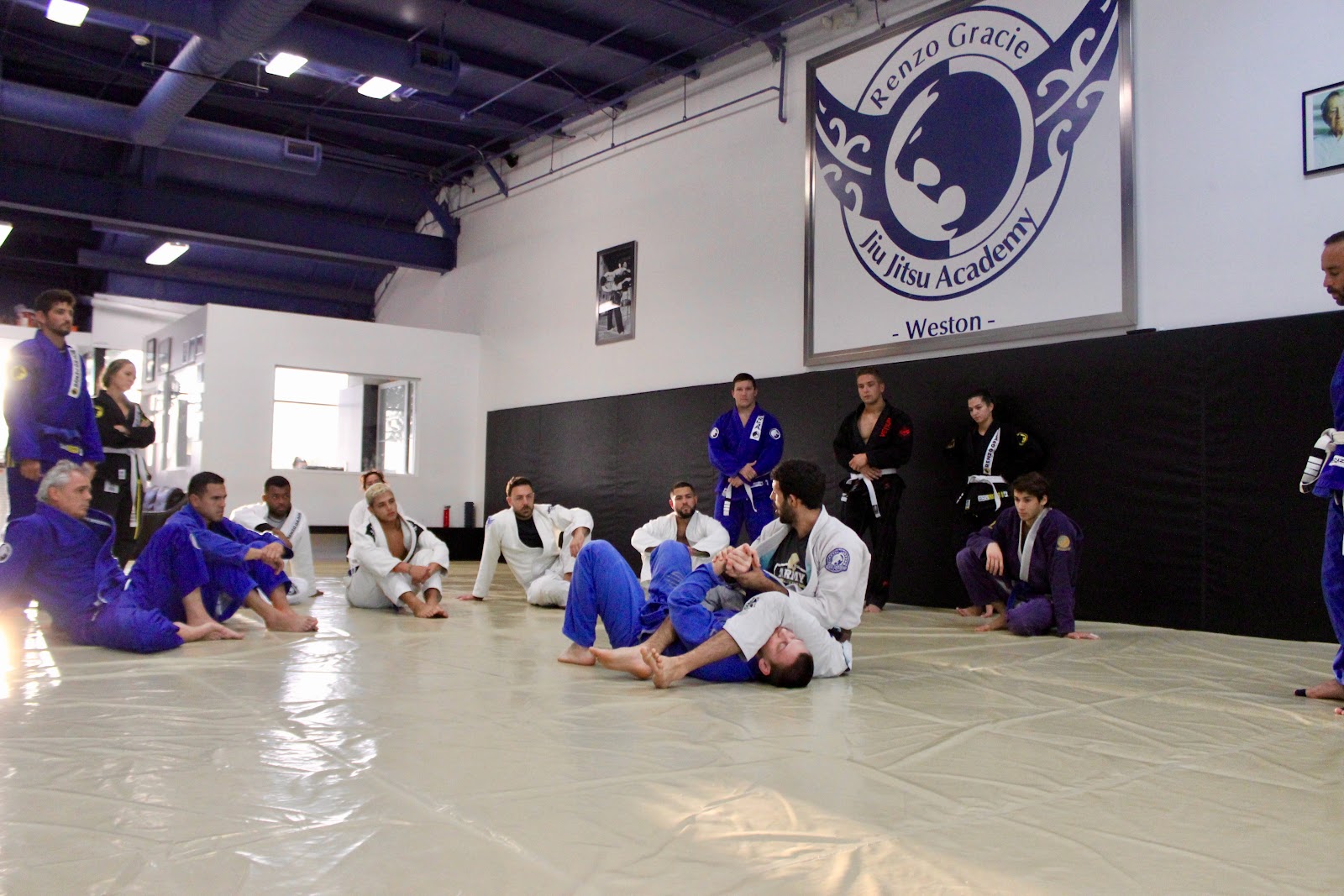 Main image of Renzo Gracie Jiu Jitsu & Training Center