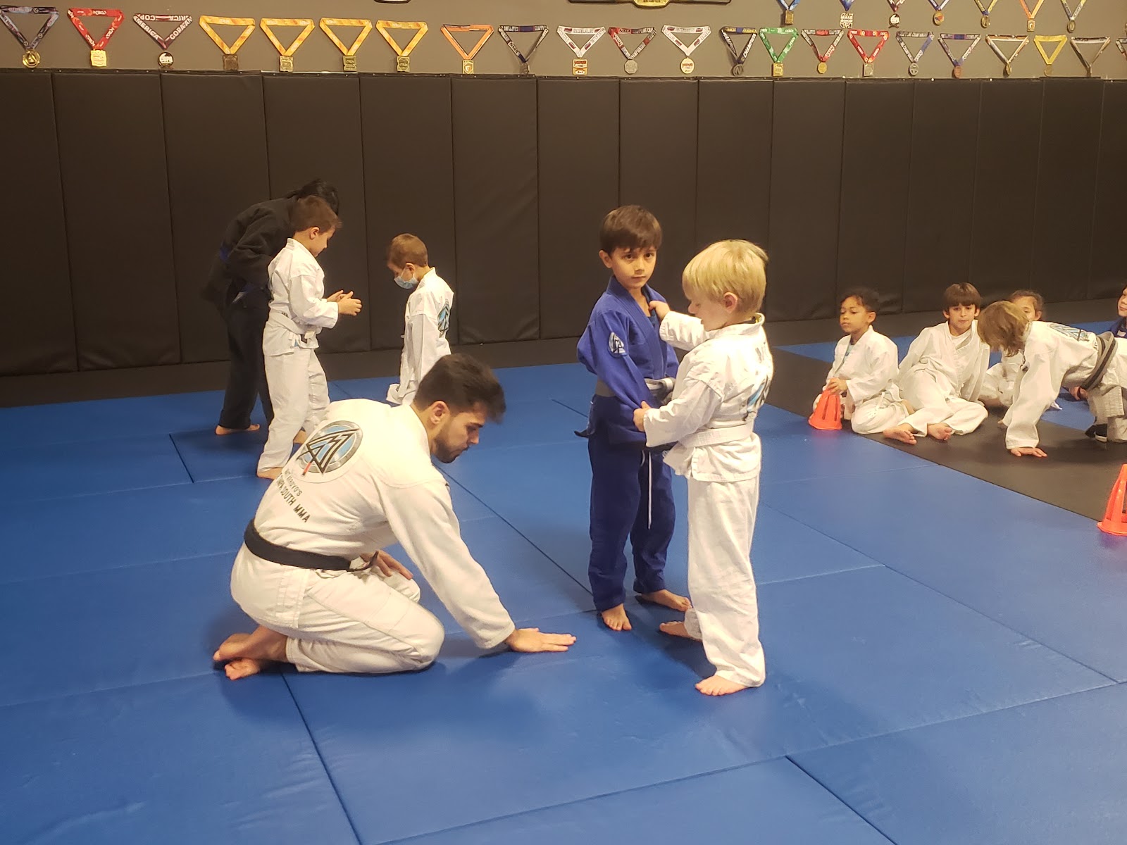 Image 2 of Gracie Tampa South MMA and BJJ