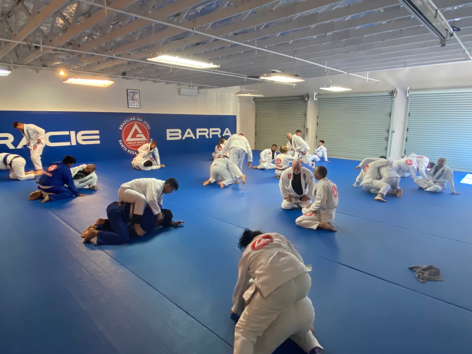 Gracie Barra Santa Rosa photo