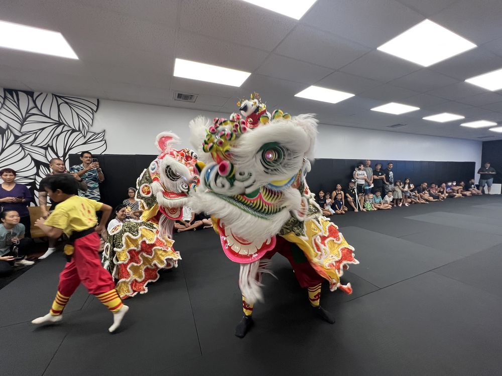 Hawaii Jiu-Jitsu Lab photo