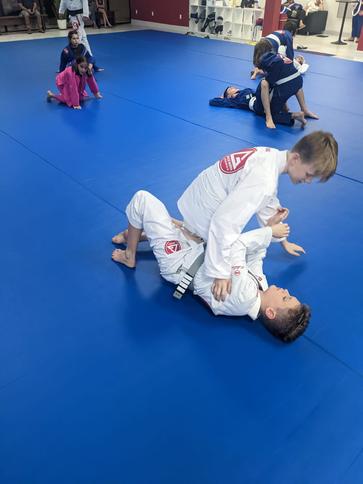 Image 8 of Gracie Barra Davie