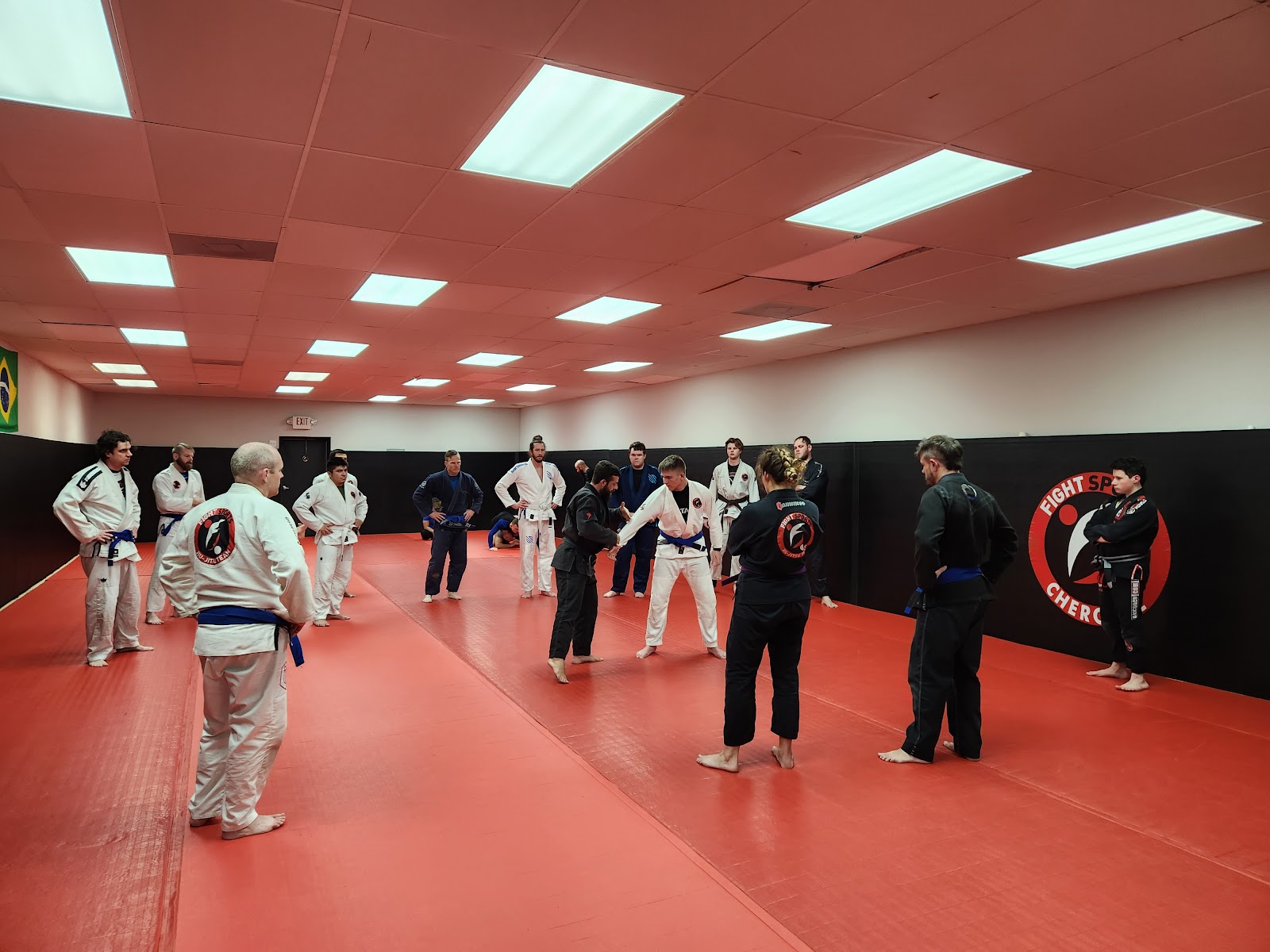 Main image of Canton Brazilian Jiu Jitsu